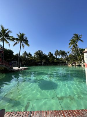 Venetian Pool by null