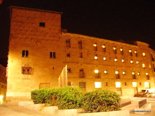 Public Library of Salamanca - Casa de las Conchas by null
