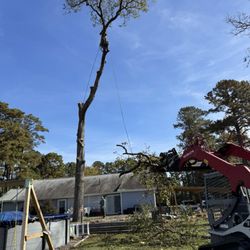 Down East Timber Solutions