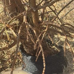 Valley Grown Nursery