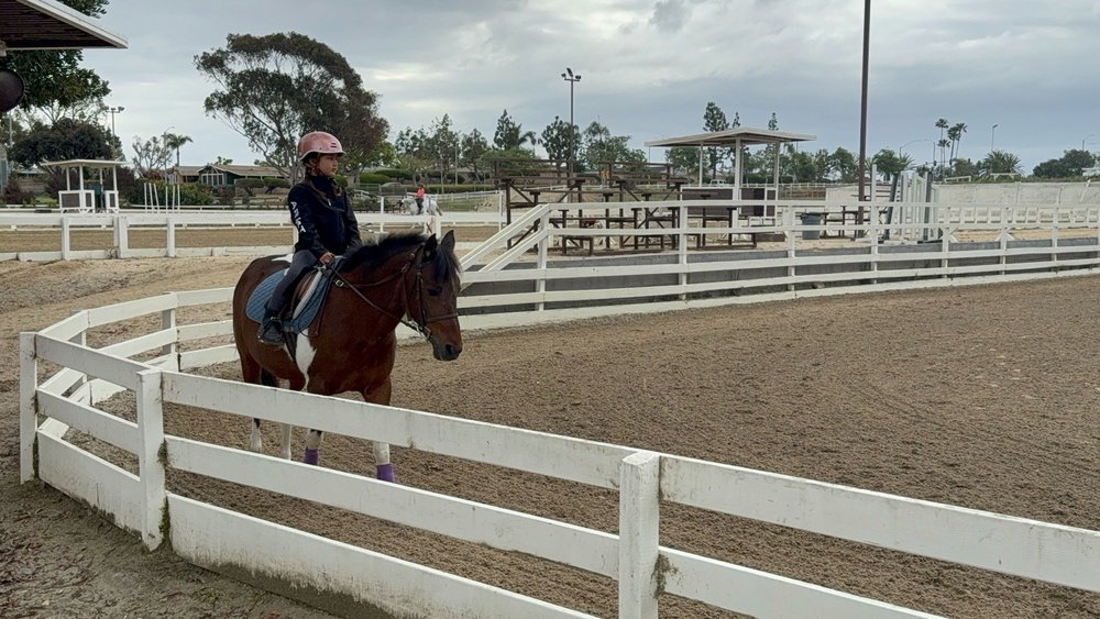Elvenstar Orange County Logo