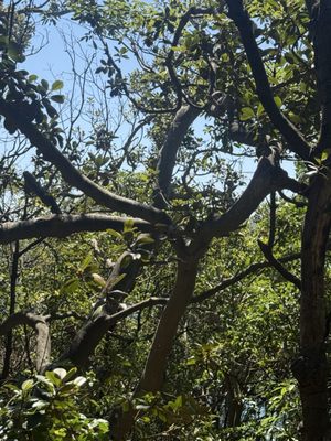 Bradleys Head Rd by null