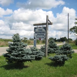 The Blueberry Patch 