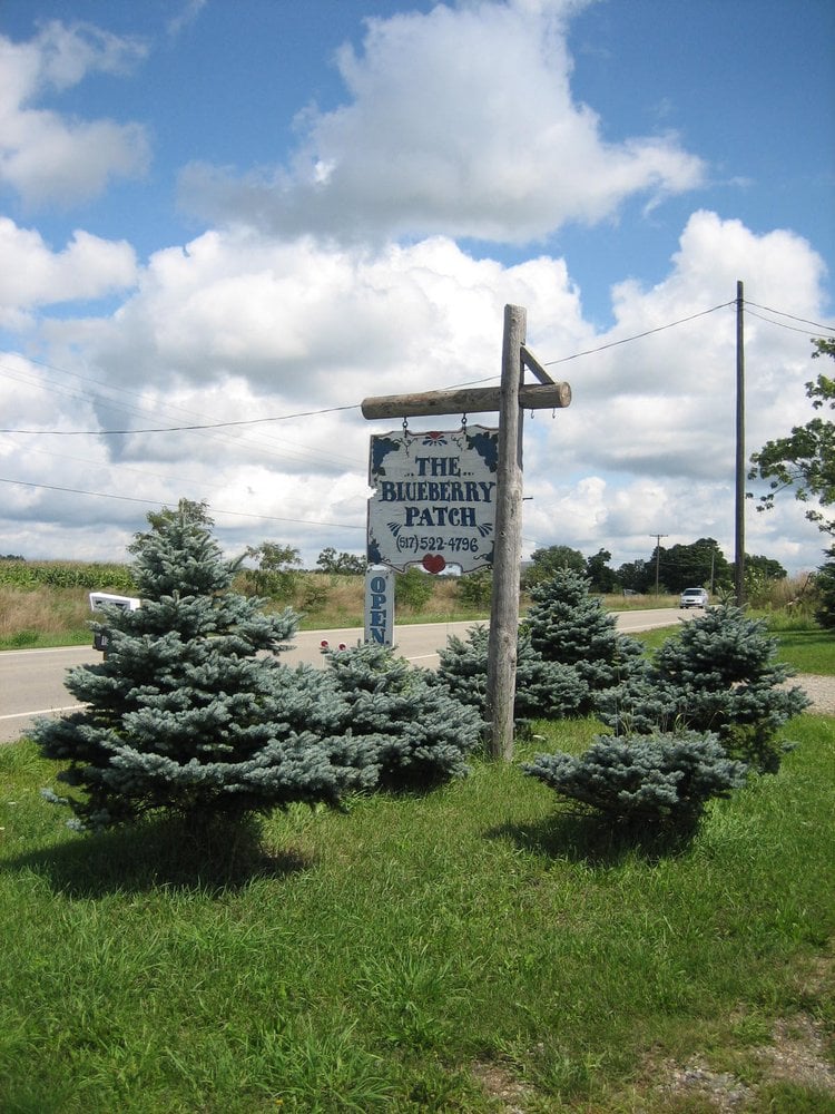 THE BLUEBERRY PATCH Updated July 2024 13007 E Michigan Ave, Grass