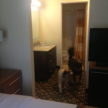 TownePlace Suites by Marriott Bend - Hotels Near Me - Bend, Oregon