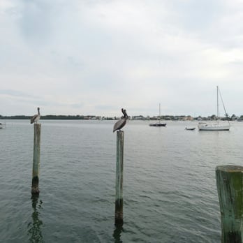 Tide Tables - Got to love the side bar while you wait - Seafood Near Me - Cortez, Florida Tide Tables - Got to love the side bar while you wait - Seafood Near Me - Cortez, Florida