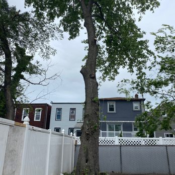 Jersey Tree Care - undefined - Tree Services Near Me - Ridgewood, New Jersey