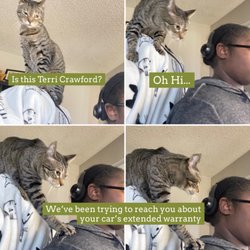 Animal Emergency Clinic Pearland 288