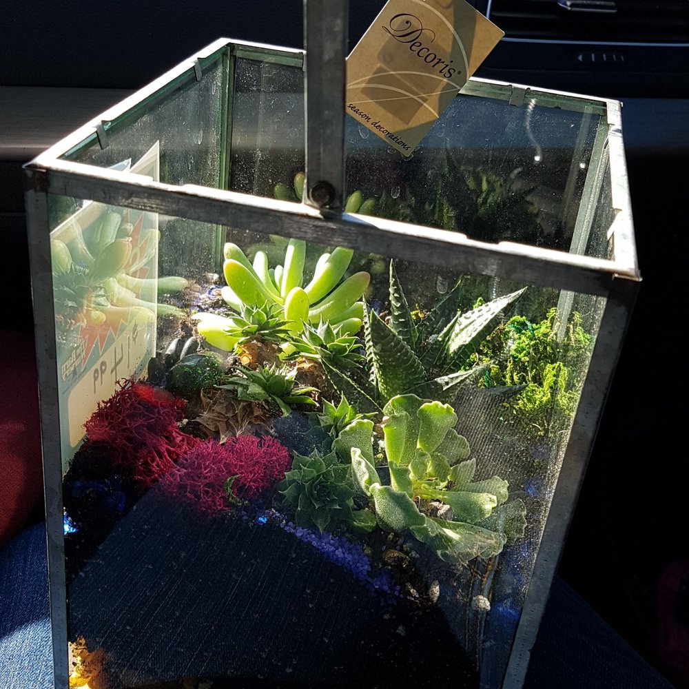 The Barn Nursery - Nurseries & Gardening Near Me - Chattanooga, Tennessee