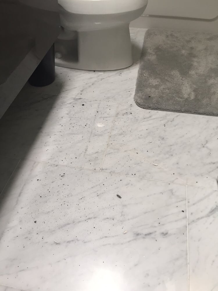 Slide of Olympic Roofing