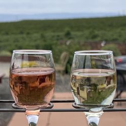VanArnam Vineyards