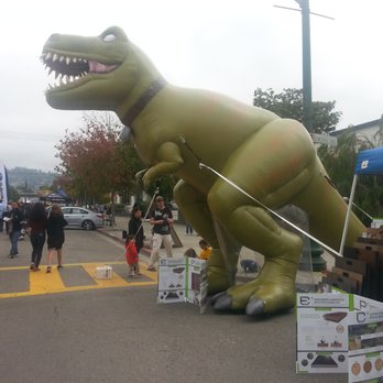 Solano Stroll - Festivals Near Me
