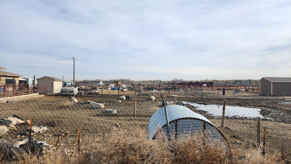 Broken Shovels Farm Sanctuary