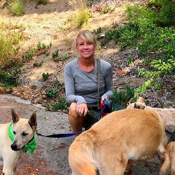 Carol's K9's - Dog Walkers Near Me