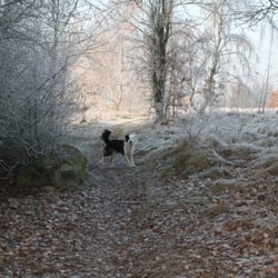 Ohberg