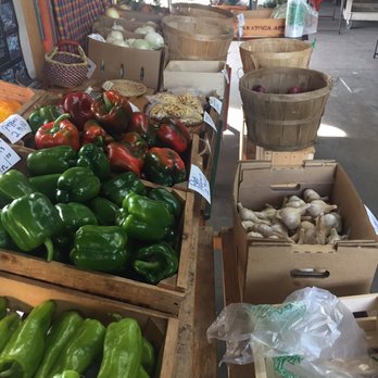 Saratoga Apple - Farm Veggies - Fruits & Veggies Near Me - Schuylerville, New York