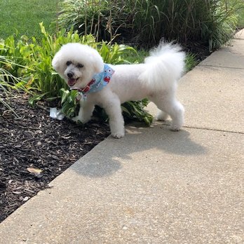 Kitty's Canine Clips - Pet Groomers Near Me - Annapolis, Maryland