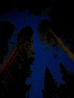 Lower Pines Campground by null