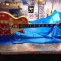 DF Costom Pro