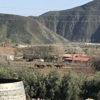 Robert Renzoni Vineyards - You can't beat this view while listening to live music and drinking wine... - Wineries Near Me - Temecula, California