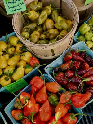 Grand Army Plaza Greenmarket by null