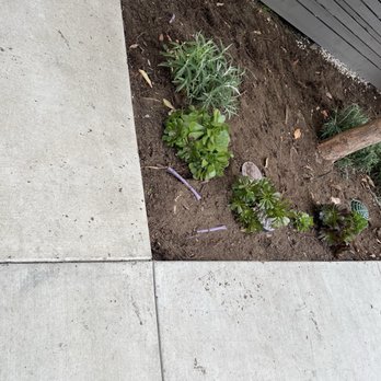 Kitson Landscape Management - Broken pipes. - Landscaping Near Me - Goleta, California Kitson Landscape Management - Broken pipes. - Landscaping Near Me - Goleta, California