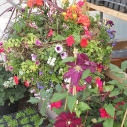 A Woman's Touch Inc - Organic growing at its best