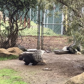Central Coast Zoo - Zoos Near Me - Atascadero, California Central Coast Zoo - Zoos Near Me - Atascadero, California
