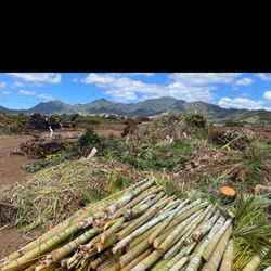 Hawaiian Earth Products - Drop off area