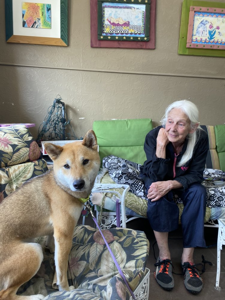 PAWPURRAZZI GROOMING 25 Photos 6516 Ventnor Ave, Ventnor City, New