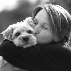 Problem Solved Dog Training
