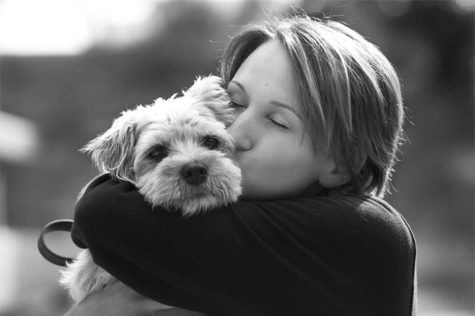 Problem Solved Dog Training Image
