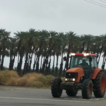 Sloan's - Date farm equipment. Slows you down, but worth the wait for a great breakfast! - Breakfast & Brunch Near Me - Indio, California Sloan's - Date farm equipment. Slows you down, but worth the wait for a great breakfast! - Breakfast & Brunch Near Me - Indio, California