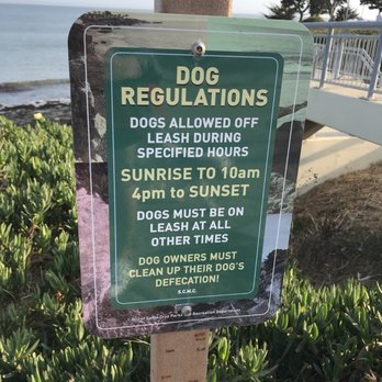 Mitchell's Cove Beach - Off leash hours - Beaches Near Me Mitchell's Cove Beach - Off leash hours - Beaches Near Me