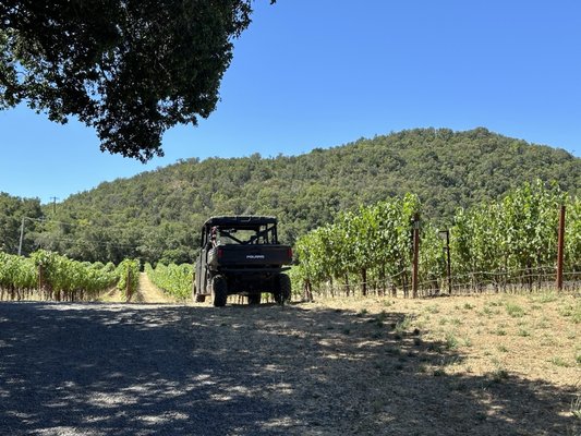 Chappellet Winery by null