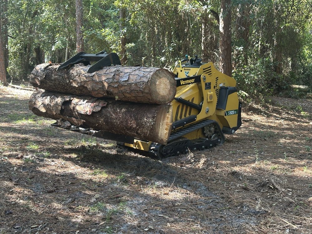 K & E Tree Service - tree service in Orlando, FL