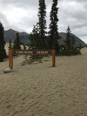 Carcross Desert by null