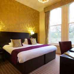 Best Western Alicia Hotel - Executive Guest Room