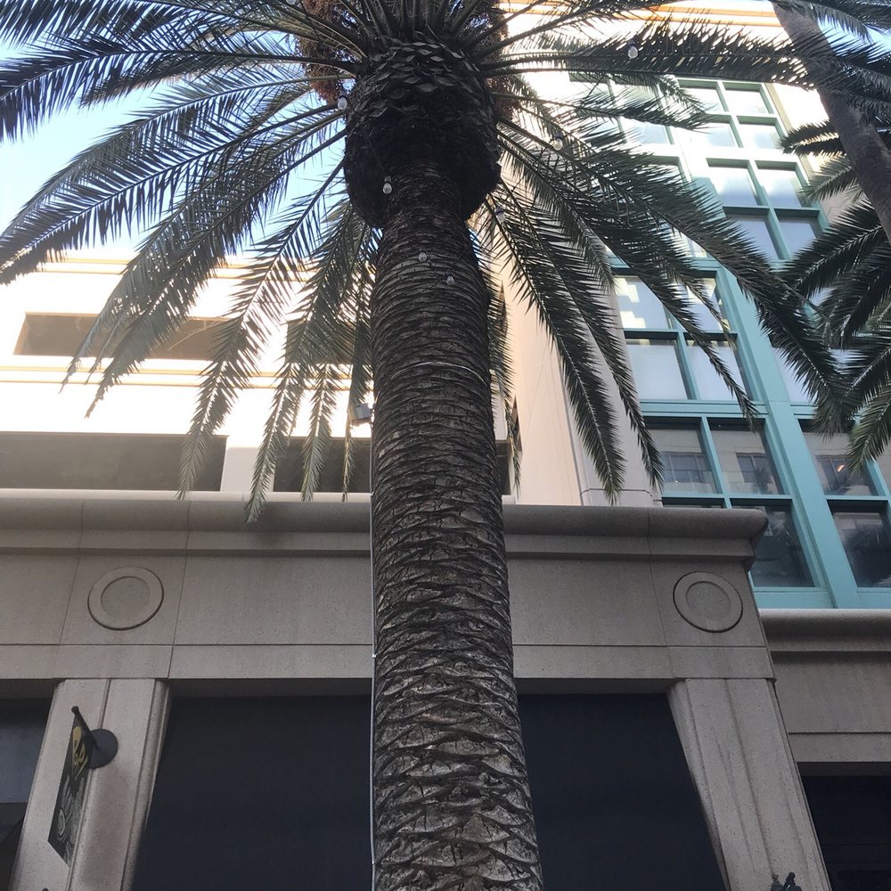 Center Street - Shopping Centers Near Me - Anaheim, California