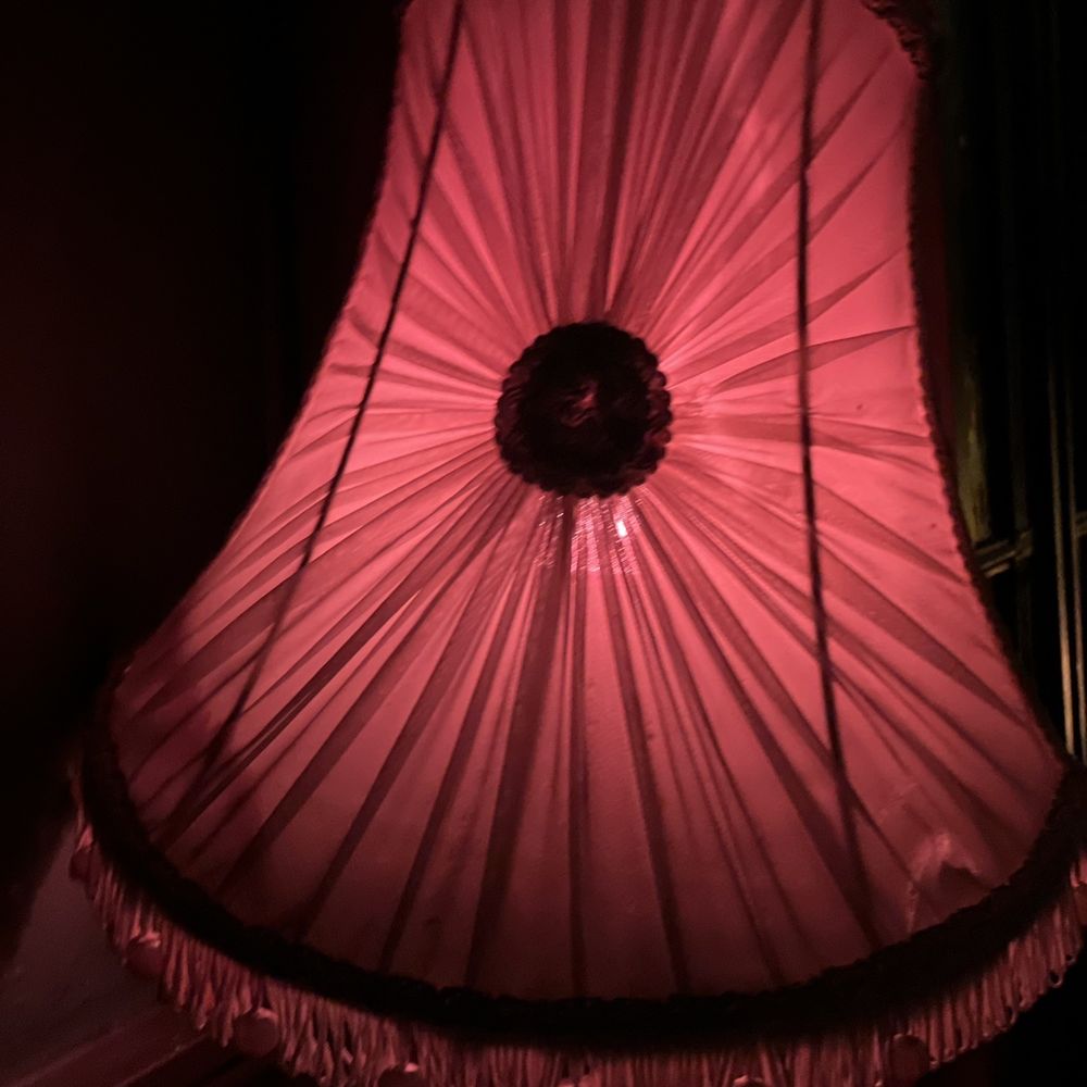 The Milk Thistle - Lampshade - Bars Near Me - Bristol, BST