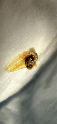 Zion Urgent Care Clinic