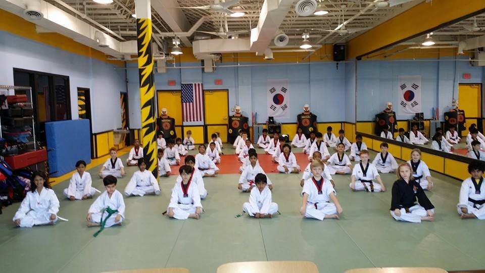 Tiger Den Martial Arts Logo