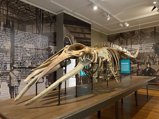 Telfair Academy by null