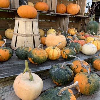Gordon Skagit Farms - Fruits & Veggies Near Me - Mount Vernon, Washington Gordon Skagit Farms - Fruits & Veggies Near Me - Mount Vernon, Washington