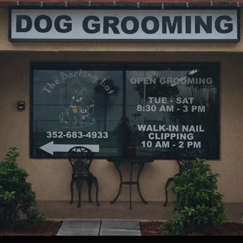 The Barking Lot - Pet Groomers Near Me - Spring Hill, Florida