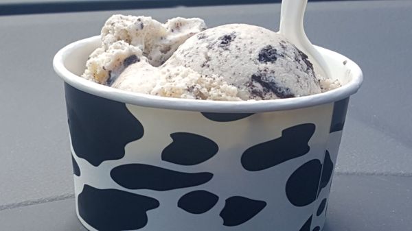 Scoop Du Jour Ice Creamery by null