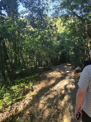 Cascada Gozalandia by null