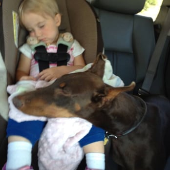 Bakers Acres - car rides are a breeze - Dog Walkers Near Me - Springville, Utah Bakers Acres - car rides are a breeze - Dog Walkers Near Me - Springville, Utah