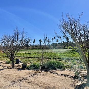Corona Farms - a view of a farm from a distance - Farmers Market Near Me - Riverside, California Corona Farms - a view of a farm from a distance - Farmers Market Near Me - Riverside, California
