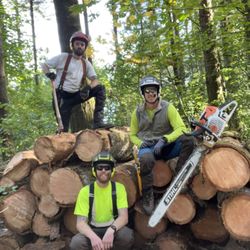 Samsara Tree Care - Tree Care
Arborist
Tree Removal
Tree Pruning
Stump Grinding
Tree Health Care
Emergency Tree Services